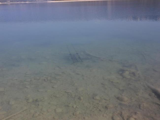 diverse - 580055589967404366391447734666n.jpg